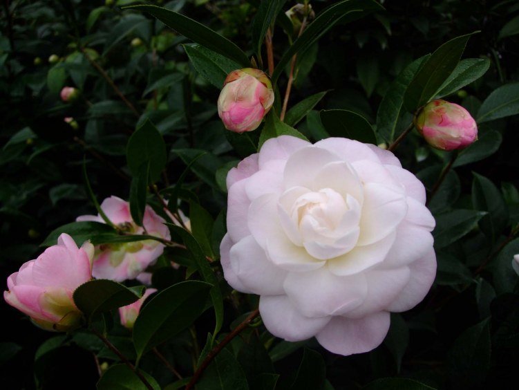 Ʈ�� 2013-2-23 025.jpg