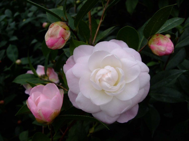 Ʈ�� 2013-2-23 061.jpg