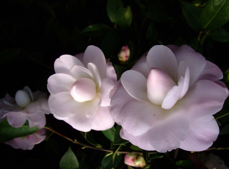 Ʈ�� 2013-2-23 092.jpg