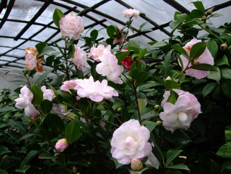Ʈ�� 2013-2-23 021.jpg