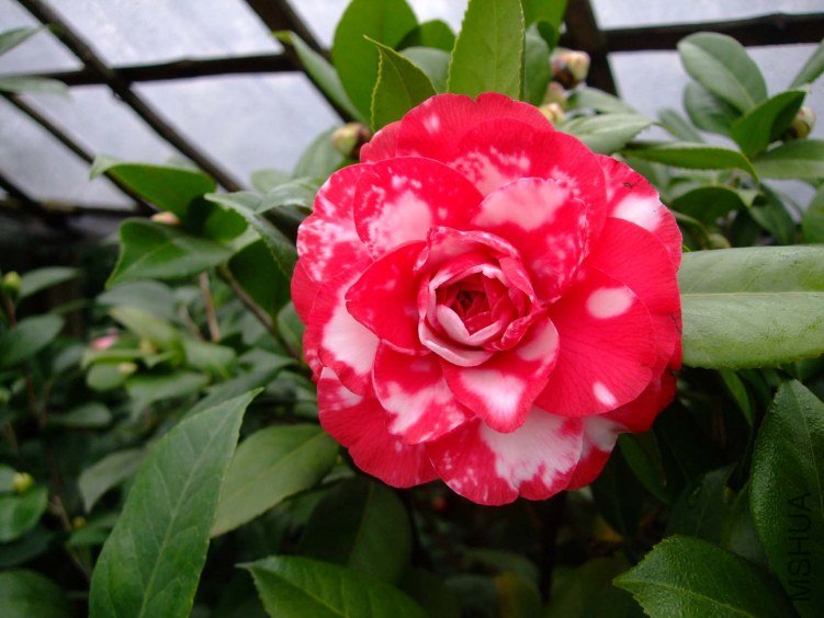 ������ 2013-2-23 012.jpg