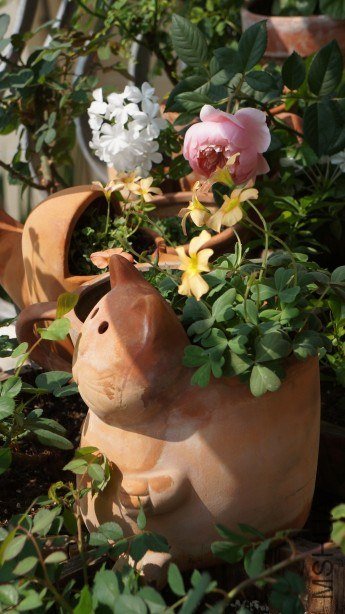 conew_conew_dsc02182.jpg