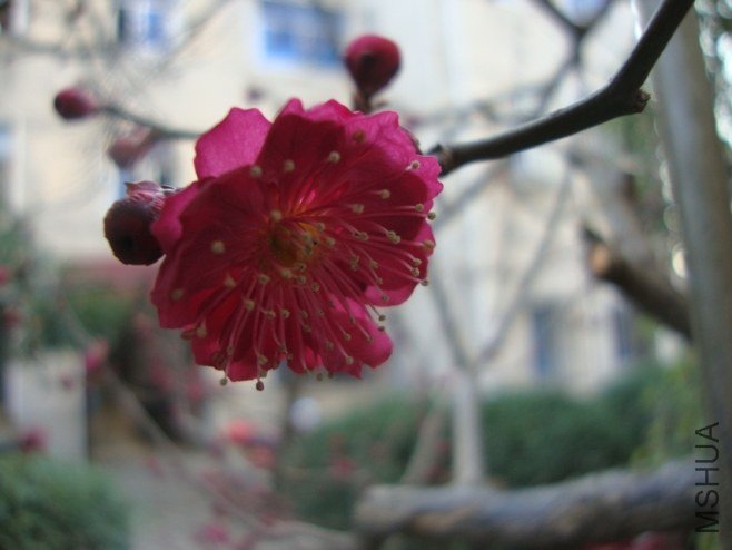 DSC03538.JPG