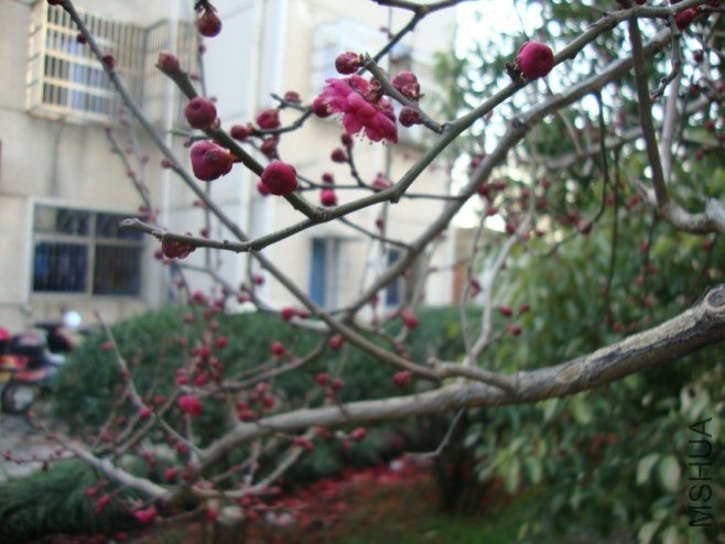 DSC03539.JPG