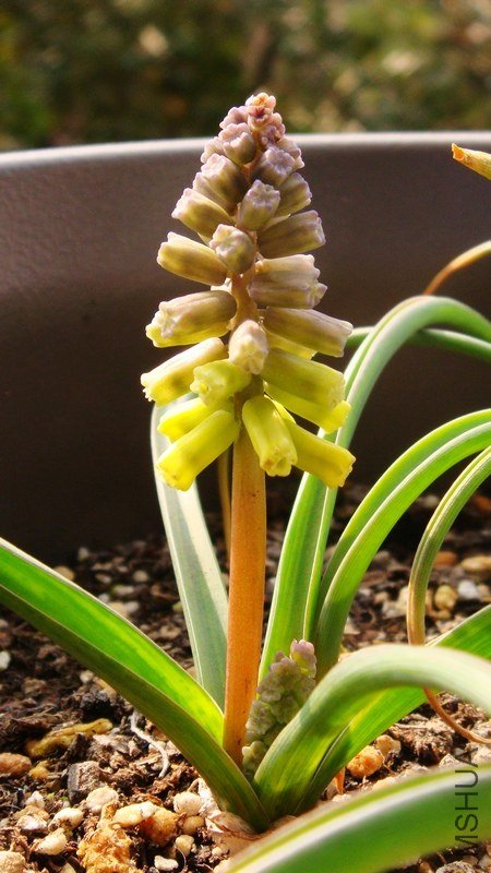 2013.2.24.JPG