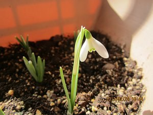 IMG_0376.JPG
