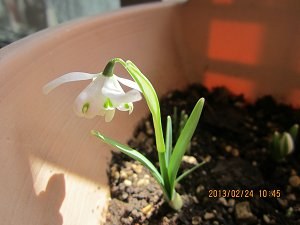 IMG_0377.JPG