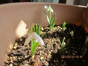 IMG_0378.JPG