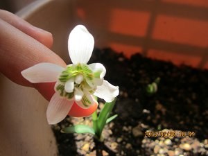 IMG_0379.JPG