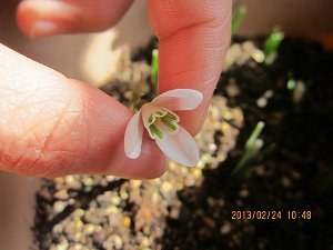 IMG_0380.JPG