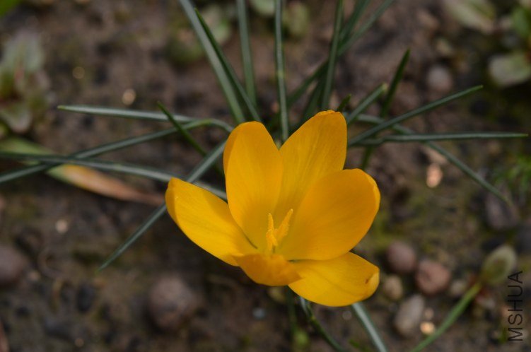 DSC_0120.JPG