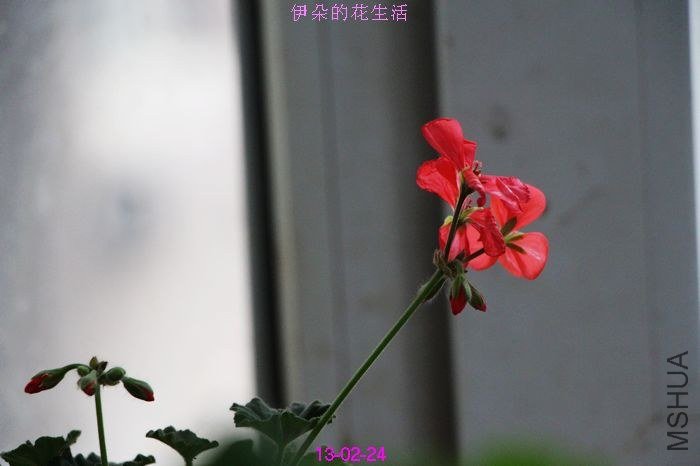 nEO_IMG_��Ƭ 273.jpg