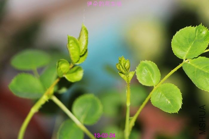 nEO_IMG_��Ƭ 270.jpg