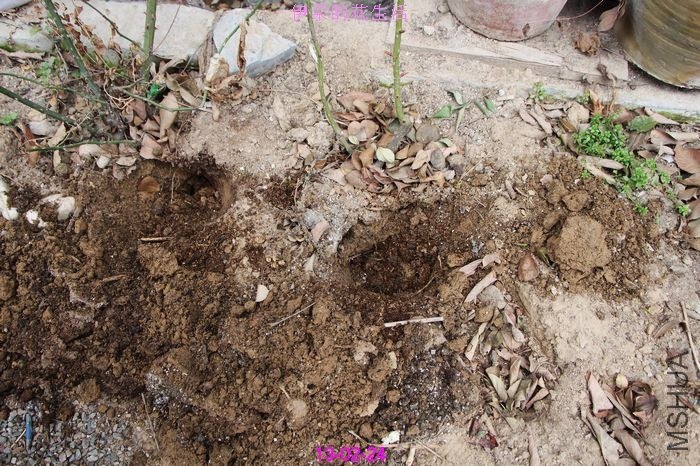 nEO_IMG_��Ƭ 266.jpg