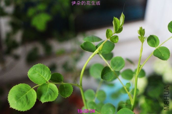 nEO_IMG_��Ƭ 271.jpg