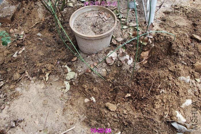 nEO_IMG_��Ƭ 267.jpg