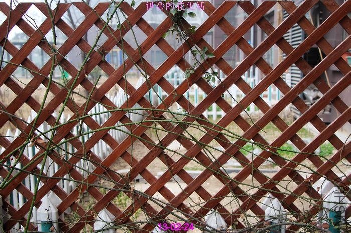 nEO_IMG_��Ƭ 269.jpg