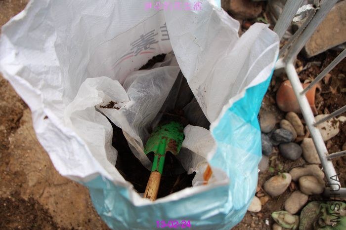 nEO_IMG_��Ƭ 264.jpg