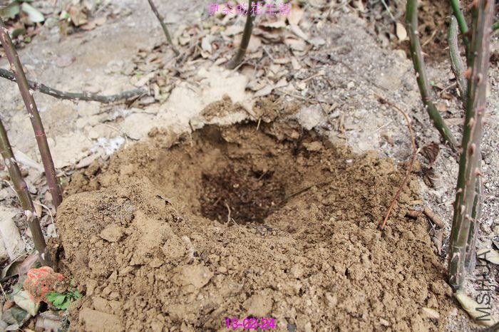 nEO_IMG_��Ƭ 265.jpg