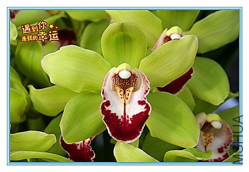 ��Ƭ 006_����.jpg