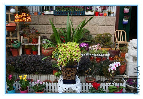 ��Ƭ 002_����.jpg