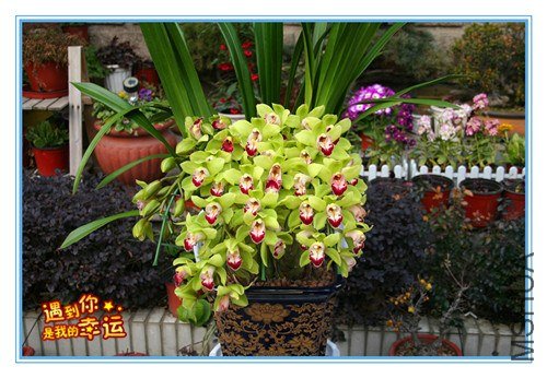 ��Ƭ 003_����.jpg