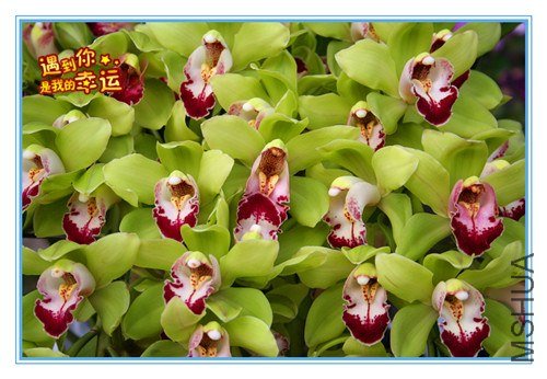 ��Ƭ 004_����.jpg