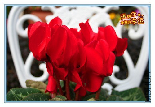 ��Ƭ 028_����.jpg