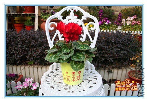 ��Ƭ 022_����.jpg