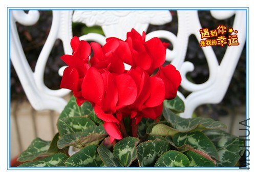 ��Ƭ 024_����.jpg