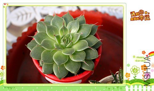 ��Ƭ 098_����.jpg