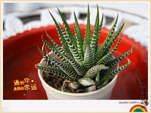 ��Ƭ 101_����.jpg