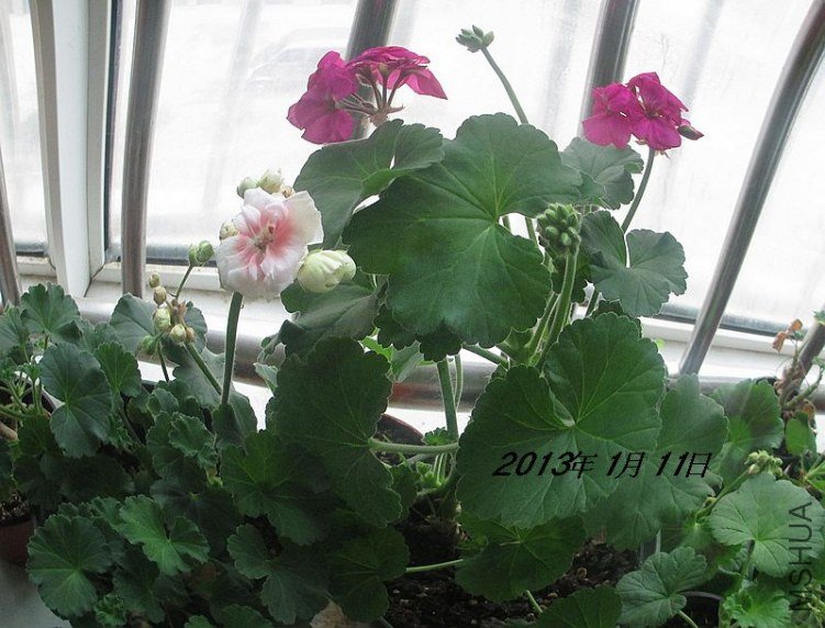 ��Ƭ 027.jpg