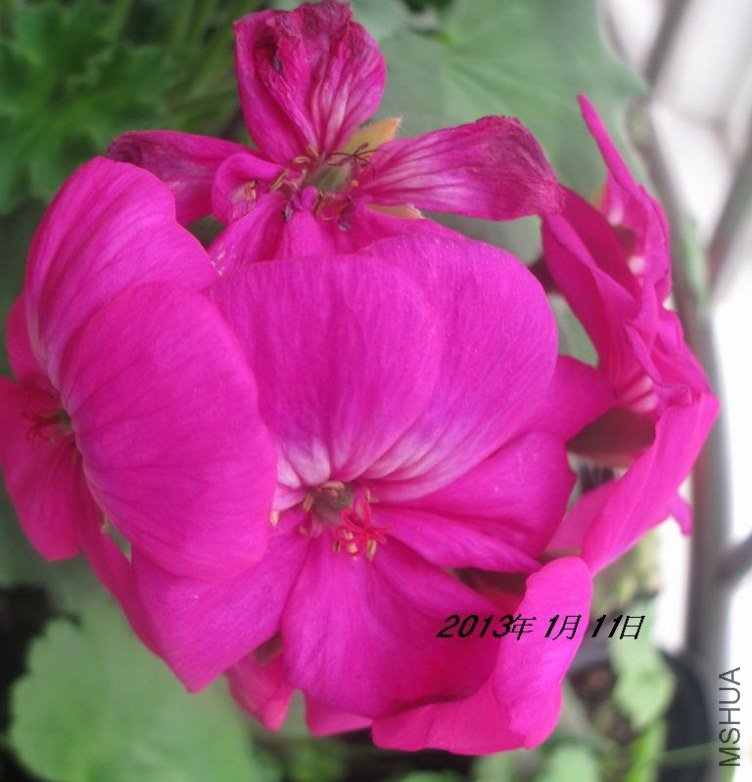 ��Ƭ 022.jpg