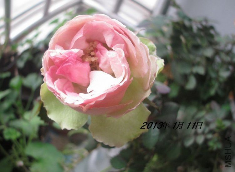 ��Ƭ 019.jpg