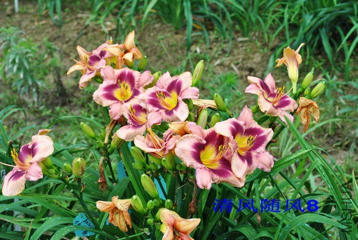 F1-216���䣨�̻��� (2).jpg