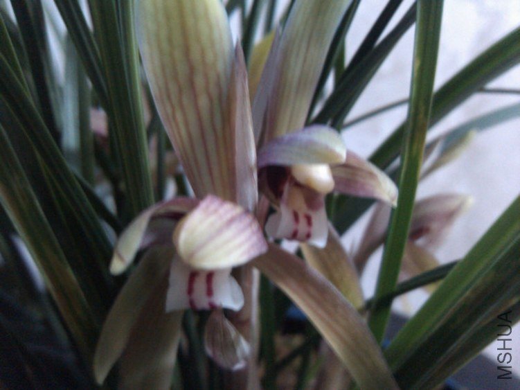 ����-2.19.13. (5).jpg