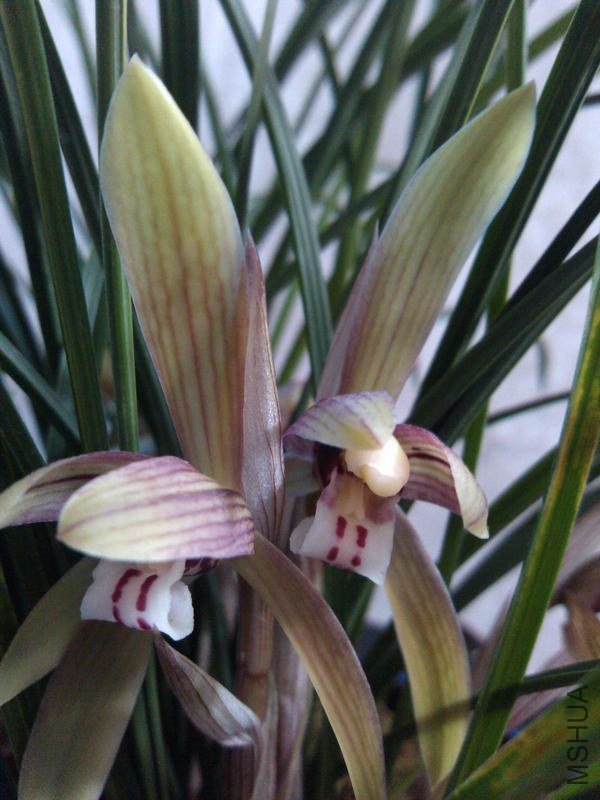 ����-2.19.13. (6).jpg