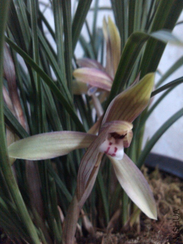 ����-2.19.13. (8).jpg