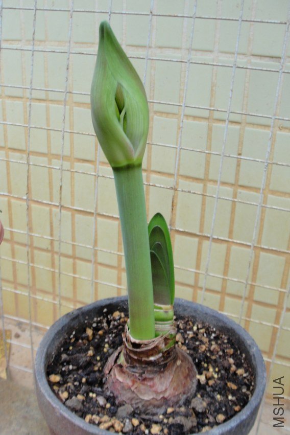 ��ת DSC09884-1.jpg