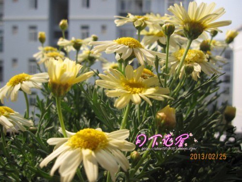 IMG_6973.jpg