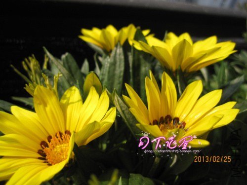 IMG_6976.jpg