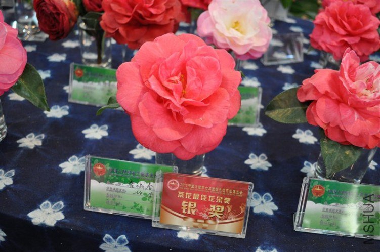�軨չ45.jpg