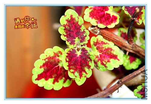 ��Ƭ 041_����.jpg