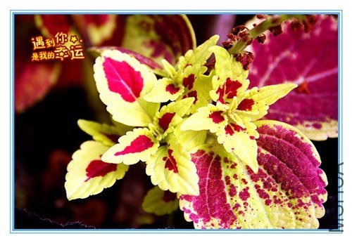 ��Ƭ 032_����.jpg