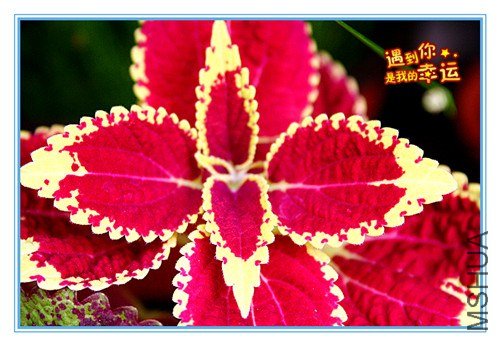 ��Ƭ 035_����.jpg