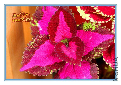 ��Ƭ 038_����.jpg