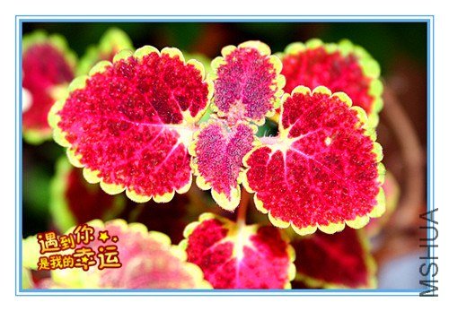 ��Ƭ 039_����.jpg