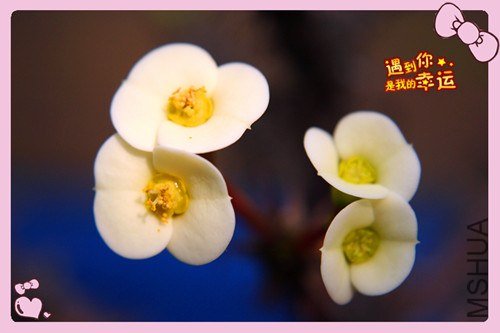 ��Ƭ 074_����.jpg