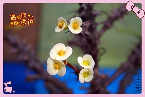 ��Ƭ 069_����.jpg